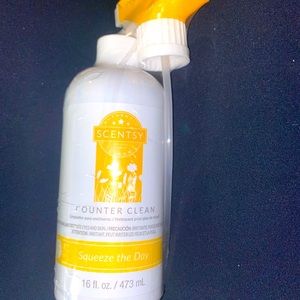 Scentsy counter clean